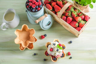 Sorbet Entsafter Rezept